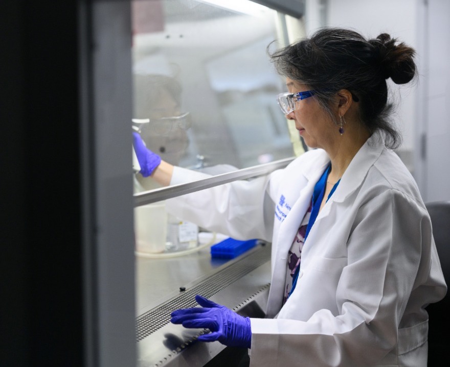 Dr. Yamasaki inspects items in her lab 