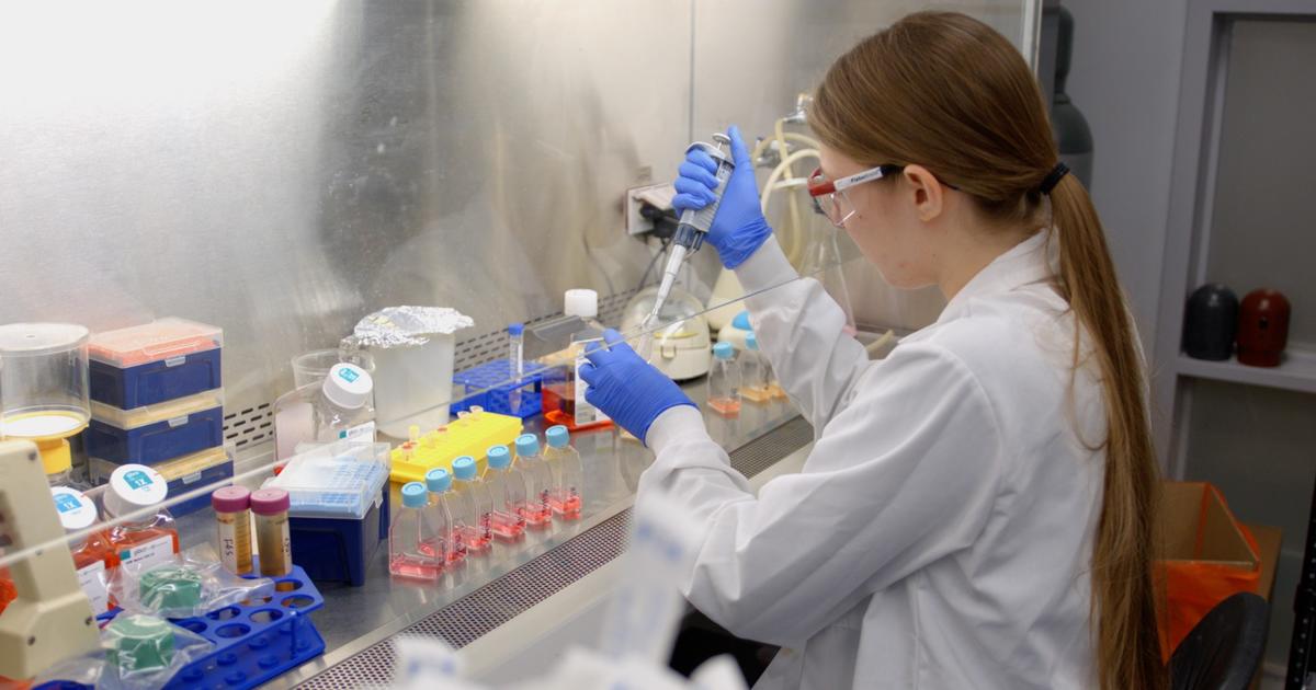 UK undergrad Kristin O'Leary, a participant in the ACTION program, studying acute lymphoblastic leukemia in the lab