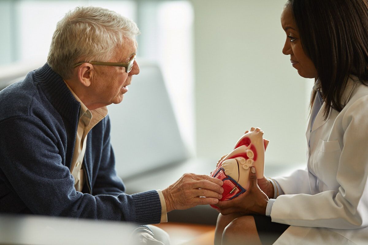 doctor shows heart model to patient