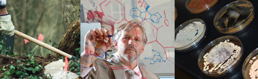 Jon Thorson, PhD, professor of pharmaceutical sciences at the UK College of Pharmacy, leads a team of researchers searching for exotic microorganisms living underground that could potentially lead to breakthrough cancer treatments.  