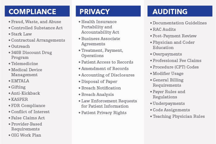 Infographic outlining the roles of Compliance, Privacy and Auditing