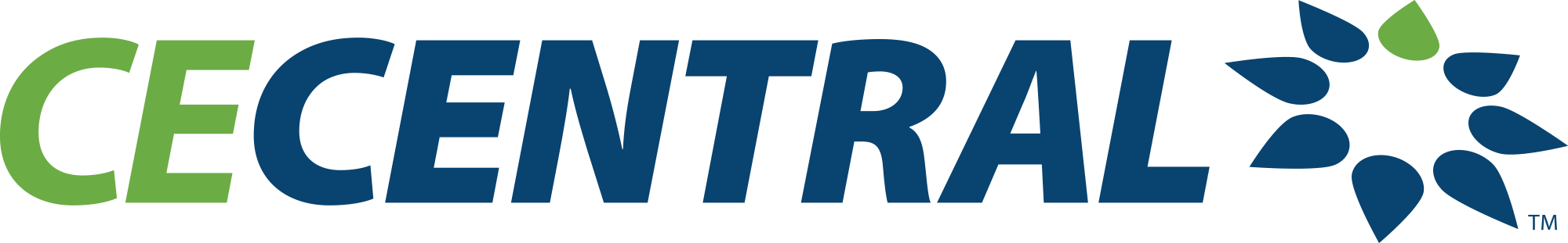 CECentral Logo