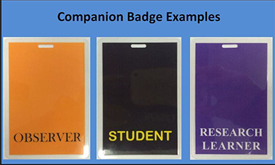 Badges & Their Meaning | A Companion to 