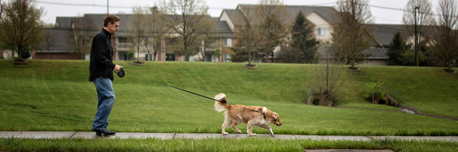 Gregg Whiteker walks his dog, Gracie.