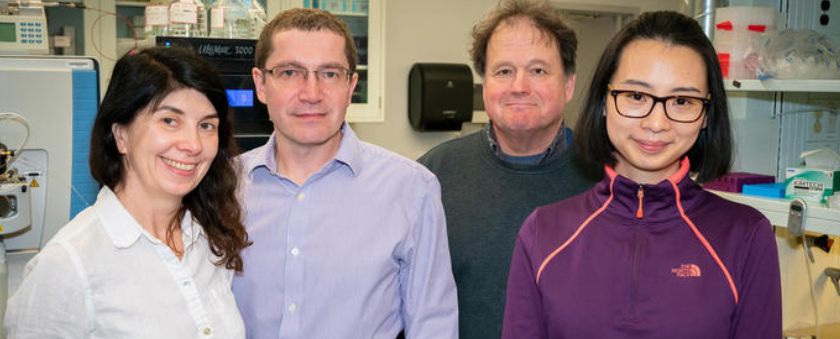 (left to right) Natalia Korotkova, Konstantin Korotkov, Jeffrey Rush (Molecular and Cellular Biochemistry), and Pan Deng (Gill Heart Institute).