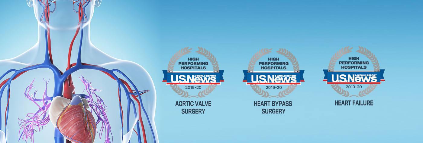 An illustration of the heart and surrounding vasculature; U.S. News & World Report badges for high-performing hospitals in aortic valve surgery, heart bypass surgery and heart failure.