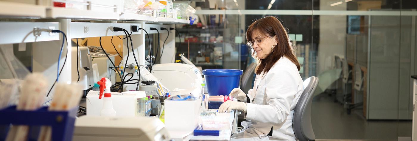 A researcher with the Barnstable Brown Diabetes and Obesity Research Center works in the lab. 