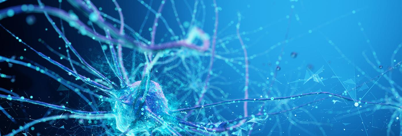 A miscroscopic image of a neuron