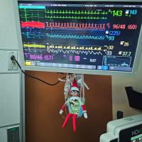 An Elf on the Shelf doll sits below readings from Crew Stone's vitals.