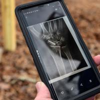Addison displays an X-ray of his fractured scaphoid bone on his phone.