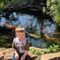 Kase smiles while sitting on some large rocks in the sun. A koi pond filled with fish is behind him.