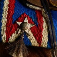 A close-up of a star decoration on a horses’s saddle blanket.