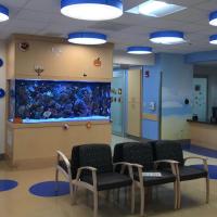 A picture of the DanceBlue clinic waiting room, which is adorned with blue dots, and a fish tank.