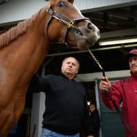 Omar looks over a horse for sale at Keeneland, while a handler in a red coat and hat holds the lead.