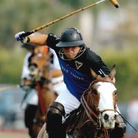Another action shot of Omar playing polo. He is riding a horse and has his arm in the air, mallet in hand mid-swing.