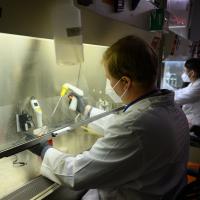 An action shot of Dr. Holcomb working on a cell sample in one of the laboratory’s fume hoods.
