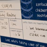 Stinky Monkey's hospital notes board.