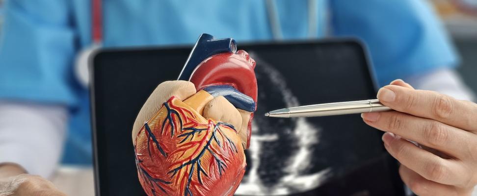 UK HealthMatters February 2026: American Heart Month