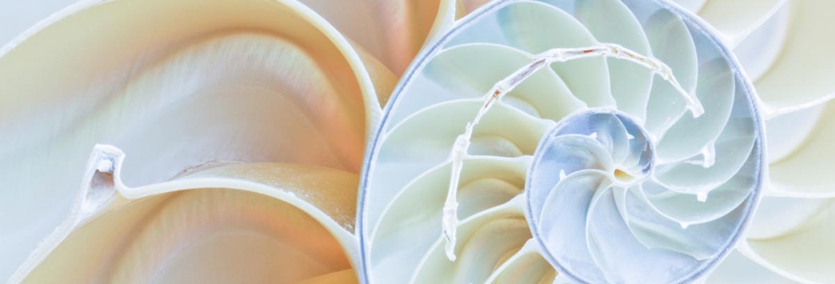 Integrative Medicine & Health | UK Healthcare