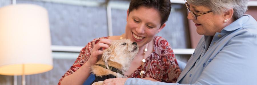 Animal-assisted therapy | UK Healthcare