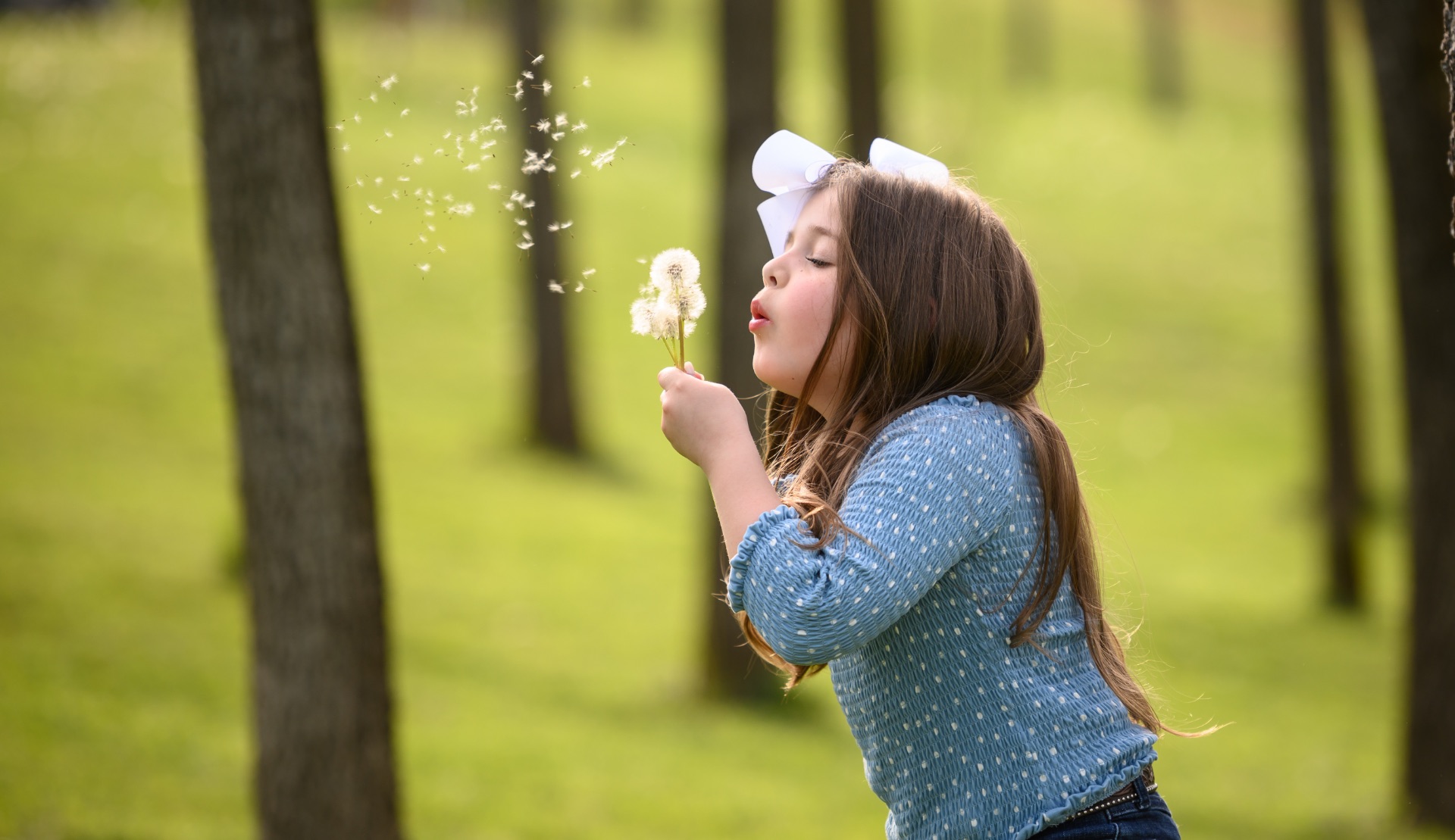 Henley stands in a park blowing a handful of dandelions.