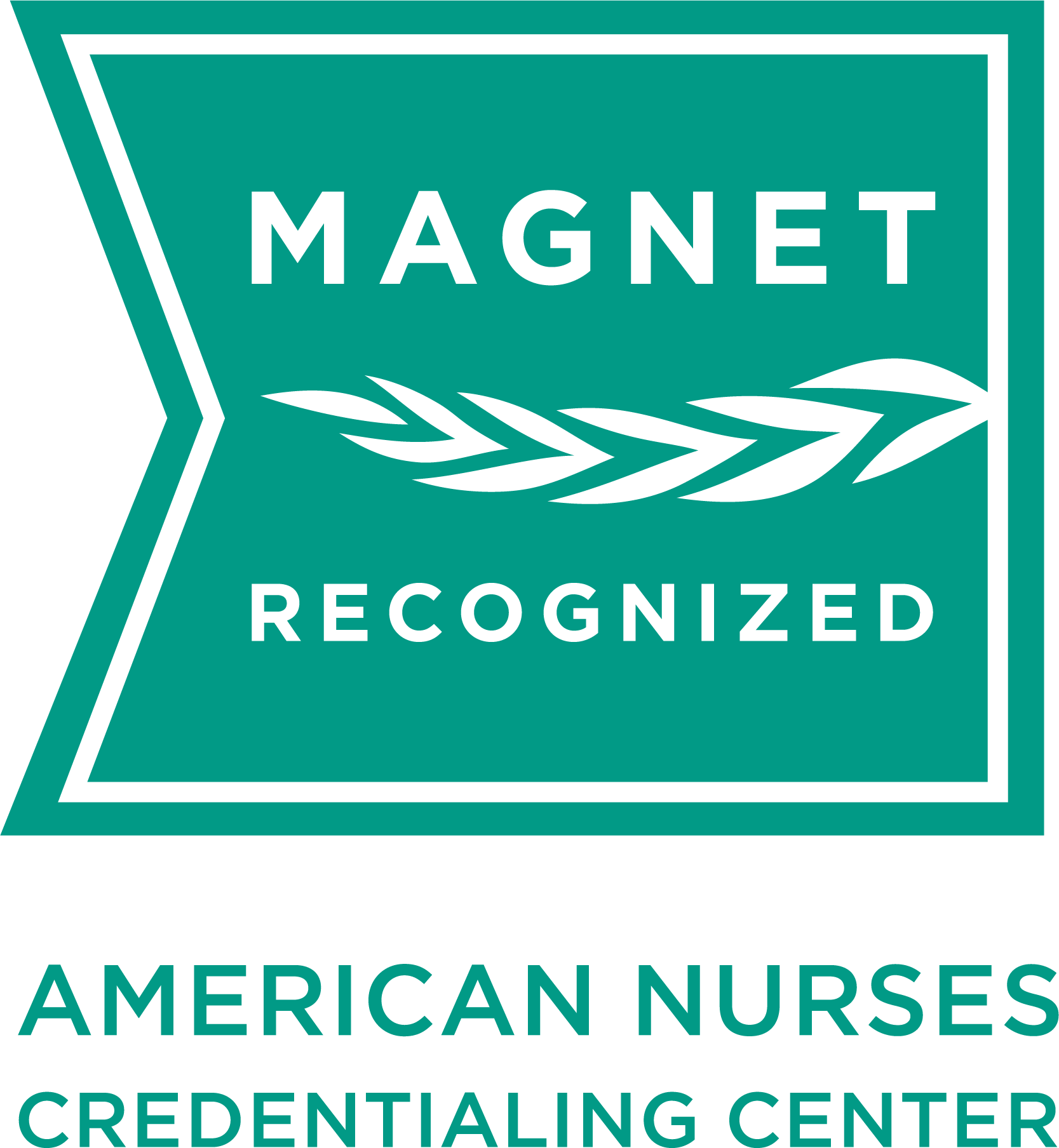 ANCC Magnet Recognition