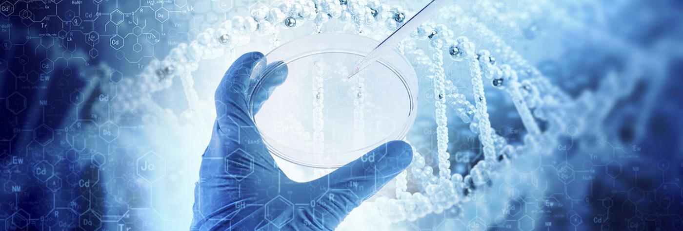 Gloved hand holding a petri dish