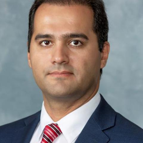 Rouzbeh Motiei-Langroudi, MD, FCNS